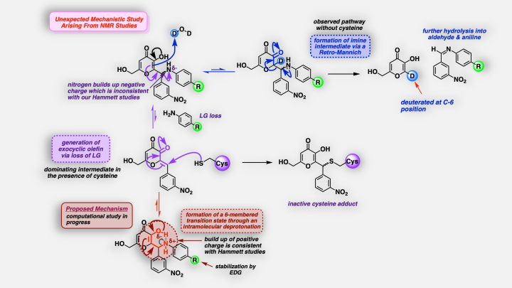 Development and mechanistic analysis of covalent inhibitors against ...