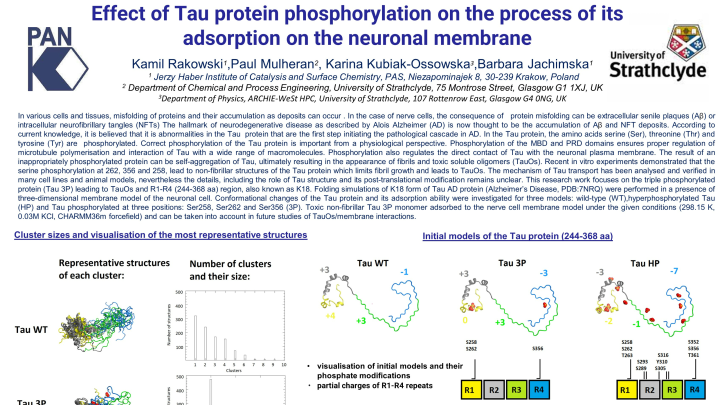Effect of Tau protein phosphorylation on the process of its adsorption ...