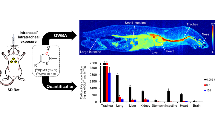 Biological uptake and whole-body distribution of CMIT/MIT, a toxic ...