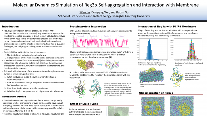 Molecular dynamics simulation of Reg3α self-aggregation and intestinal ...