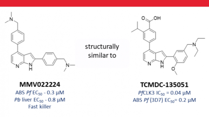 Using pull down chemical proteomics to determine the mode of action of