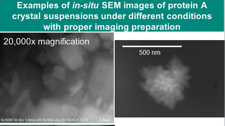 Enabling high-resolution SEM imaging for wet materials - American ...