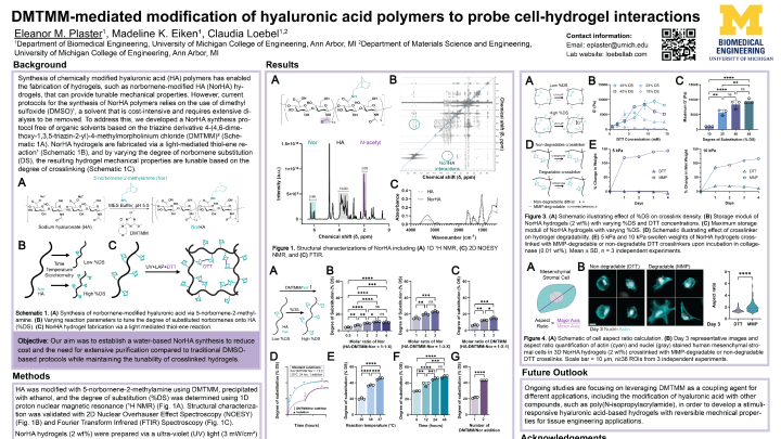 DMTMM-mediated synthesis of norbornene-modified hyaluronic acid ...