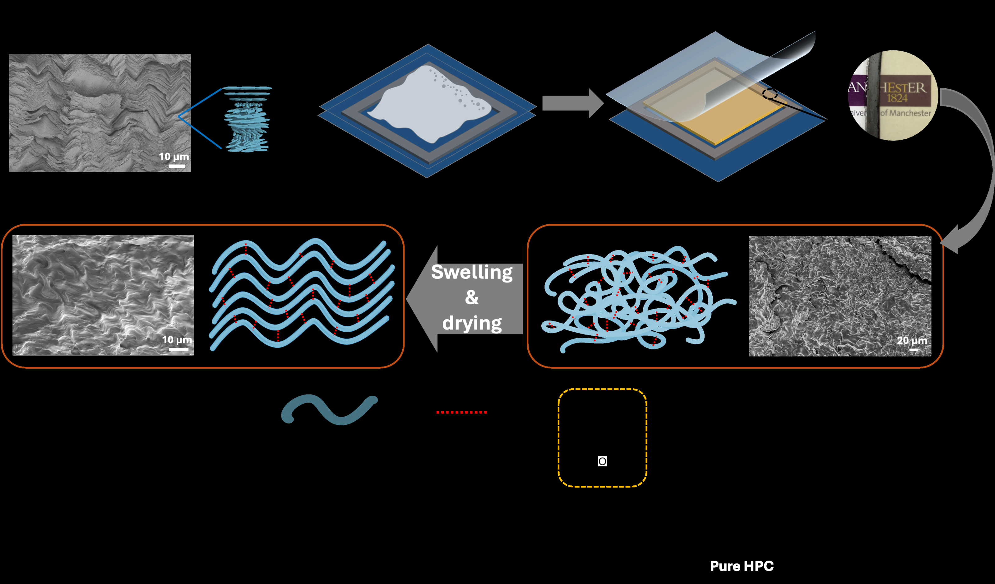 Solvent-free crosslinking of hydroxypropyl cellulose via esterification ...