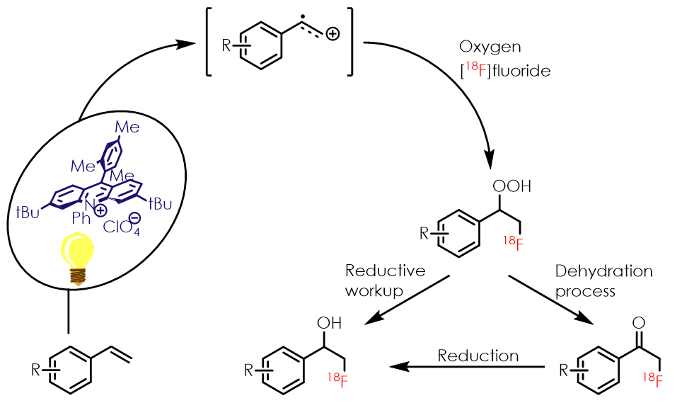 New [18F]fluorohydrin radiosynthetic method from alkene precursors via ...