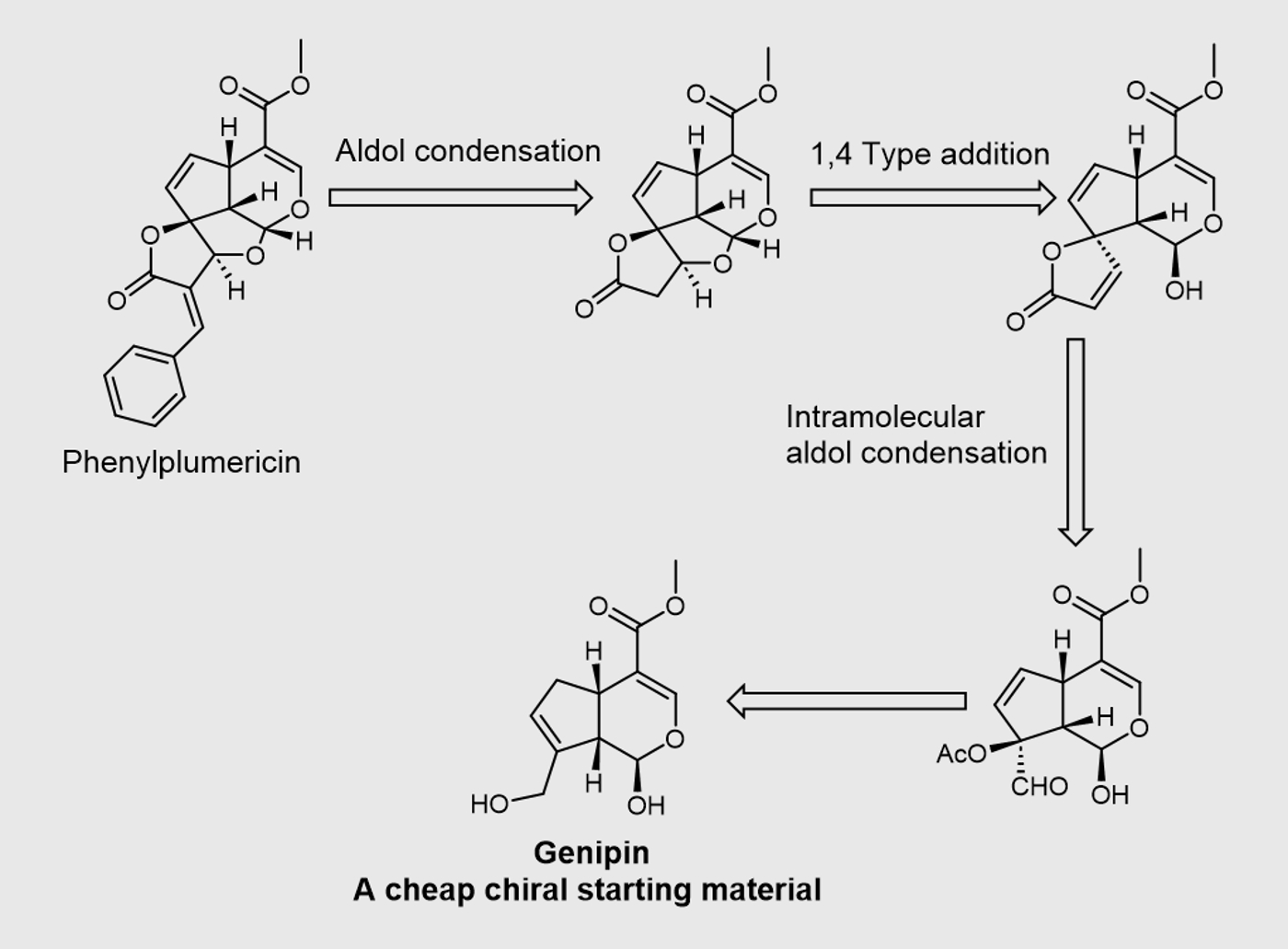 Intramolecular strategy for the synthesis of phenylplumericin ...