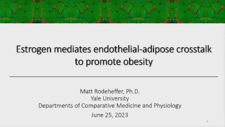 How Sex Shapes Metabolism And Glucose Homeostasis American Diabetes Association 2689