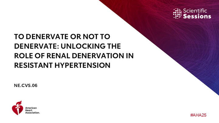 To Denervate or Not to Denervate: Unlocking the Role of Renal ...