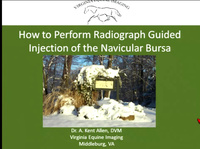 How to Perform Direct Digital Radiographic-Guided Navicular Bursa ...