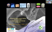 Transdermal NSAID release patches made from anisotropic 2,3 ...