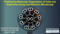 Probing the Molecular Organization of Cells and Organelles Using Cryo ...