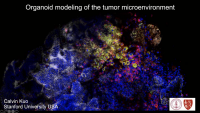 Organoid Modeling of the Tumor Microenvironment - Keystone Symposia