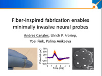 Fiber-Inspired Fabrication Enables Minimally Invasive Neural Probes ...