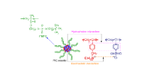 Polyion complex (PIC) aggregates formed from oppositely charged ...