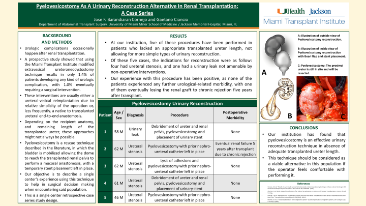 Pyelovesicostomy as a Urinary Reconstruction Alternative in Renal ...