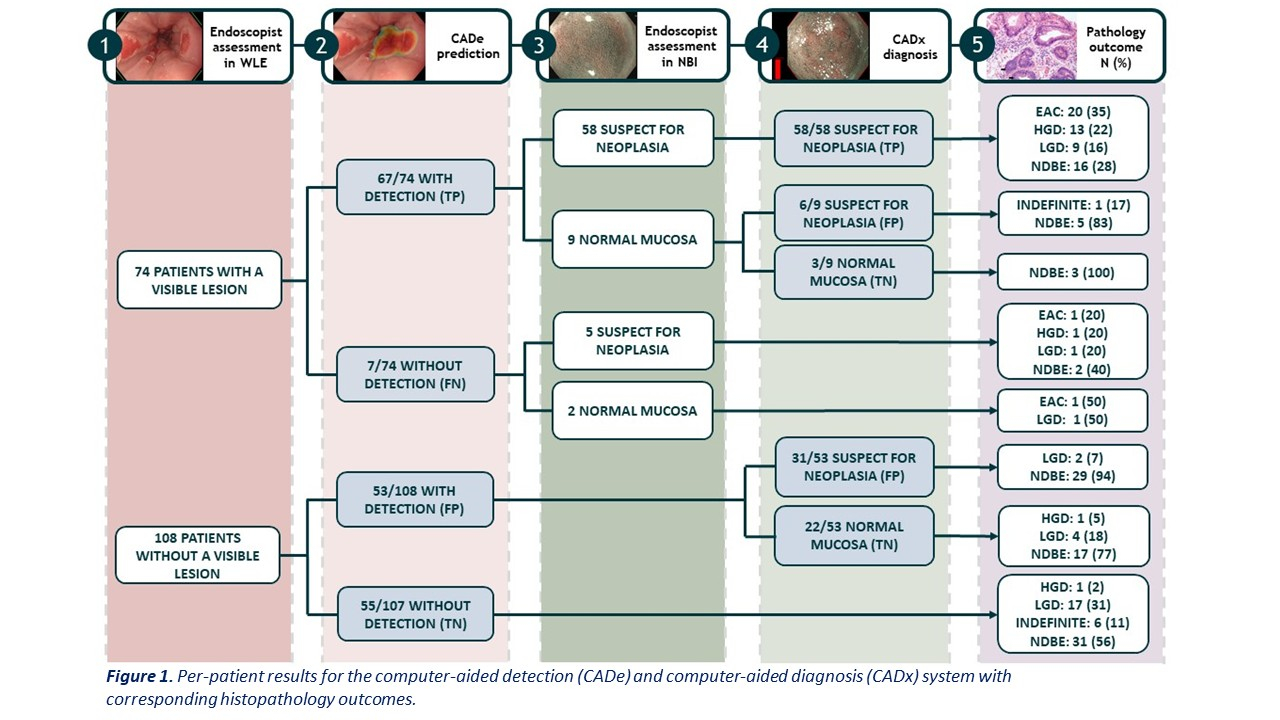 Barrett's Nhs Algorithm EVALUATION OF A REAL-TIME COMPUTER-AIDED DETECTION AND DIAGNOSIS SYSTEM ...
