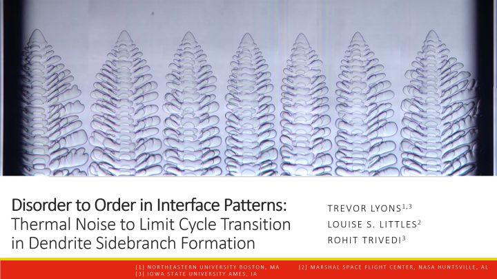 SF02.01.03: Disorder to Order in Interface Patterns: Thermal Noise to ...