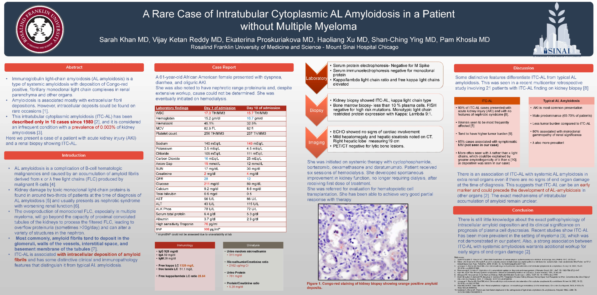 A Rare Case of Intratubular Cytoplasmic AL Amyloidosis in a Patient Without Multiple Myeloma icon