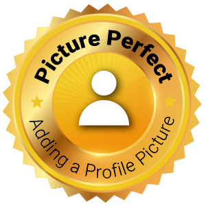 Picture Perfect icon