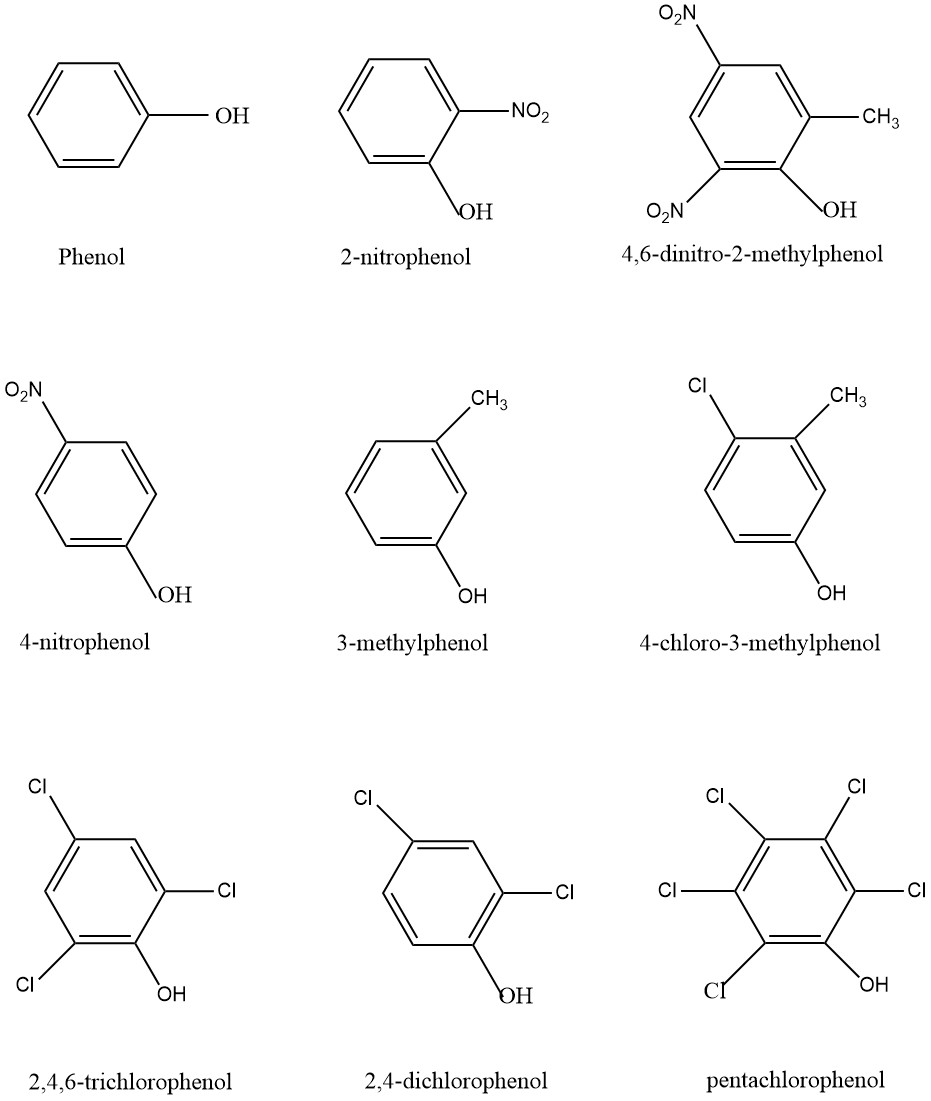 Theoretical and experimental examination of phenolicrelated metabolic