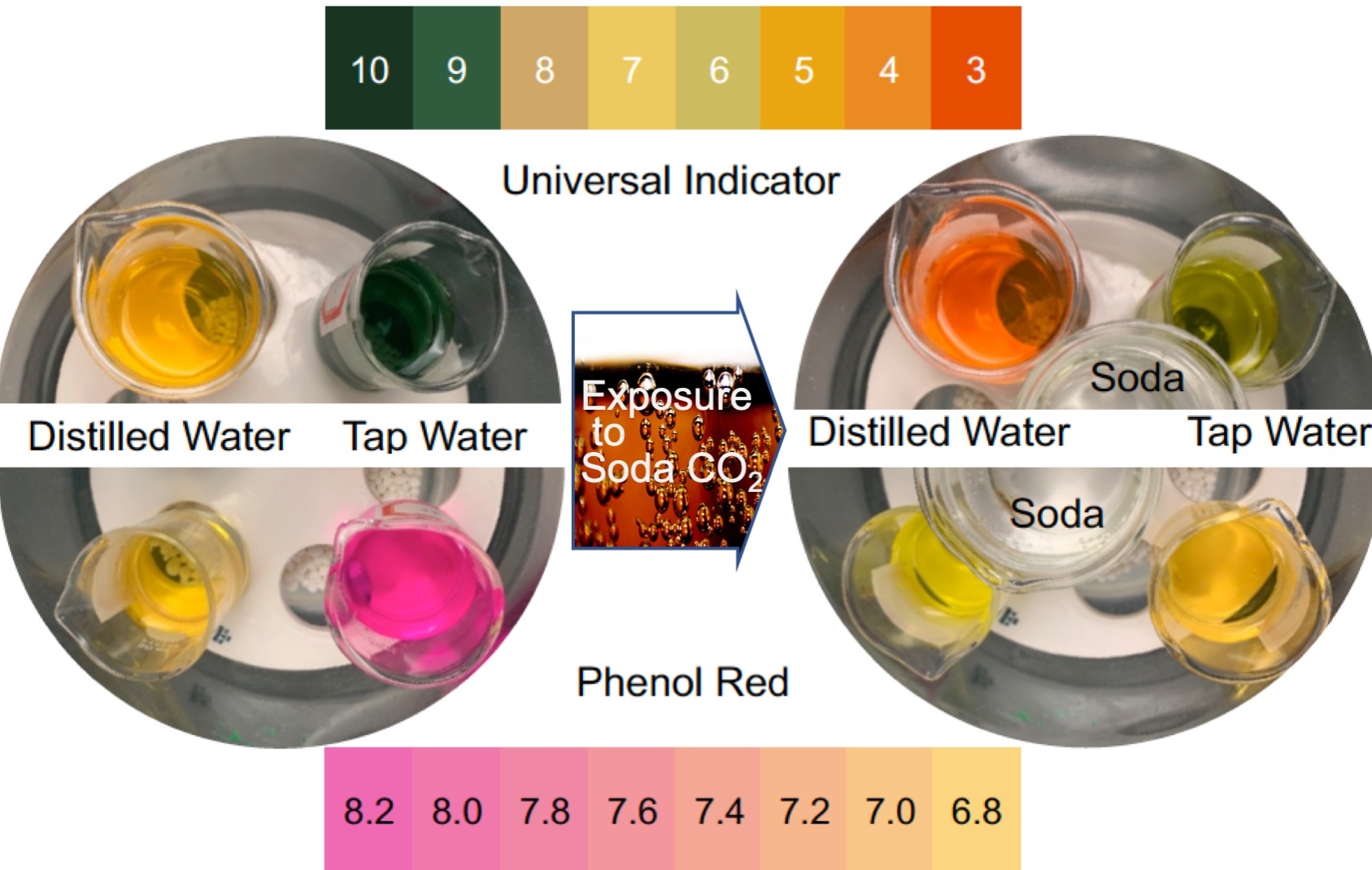 Indicator-based visualization of ocean acidification as the result 