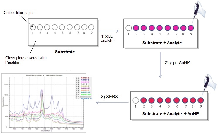 Development of an accessible filter paper-based SERS system for dye ...