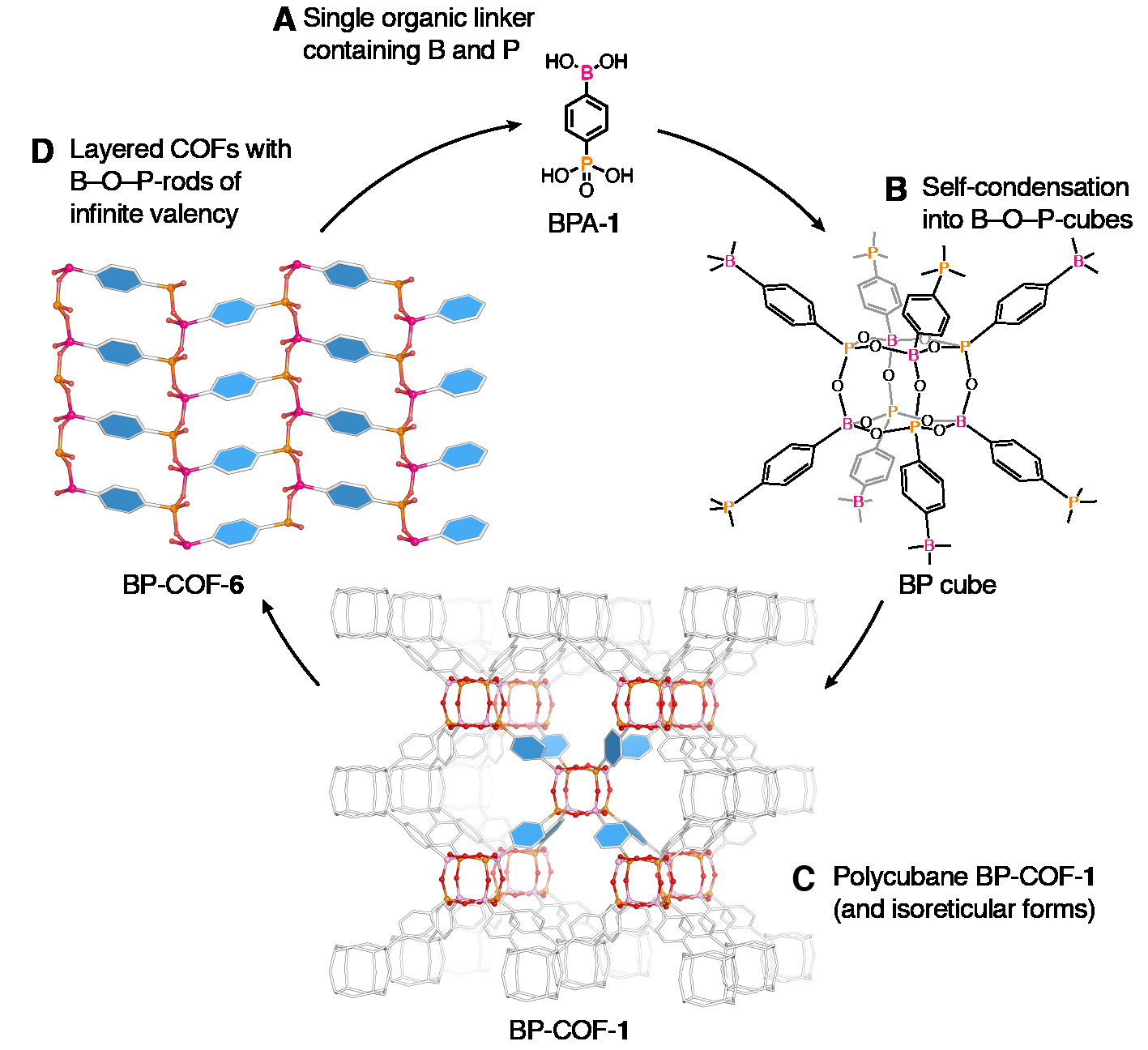 Single organic linkers containing main group elements B and P (<b>A</b>) self-condense into polycubane BP-COFs (<b>B</b> and <b>C</b>). Upon addition of acid these rearrange into layered BP-COFs (<b>D</b>).