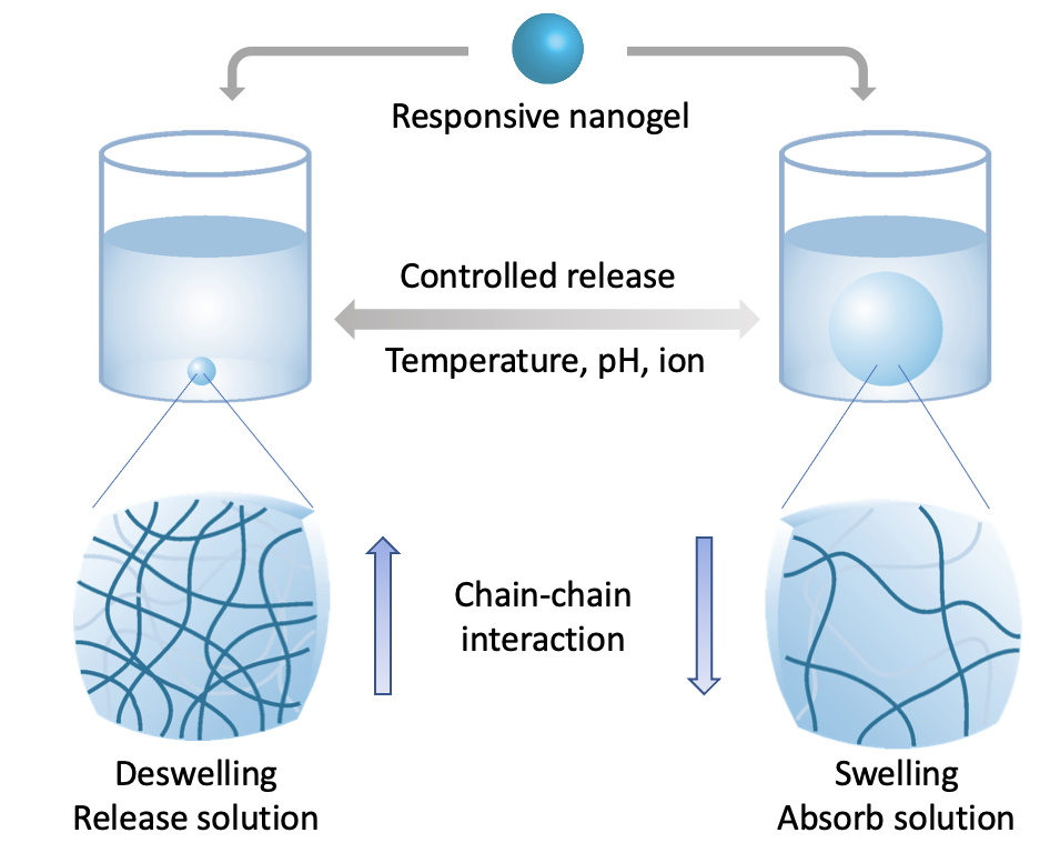Hydrogel nanoparticle as a controlled delivery system in cosmetic ...