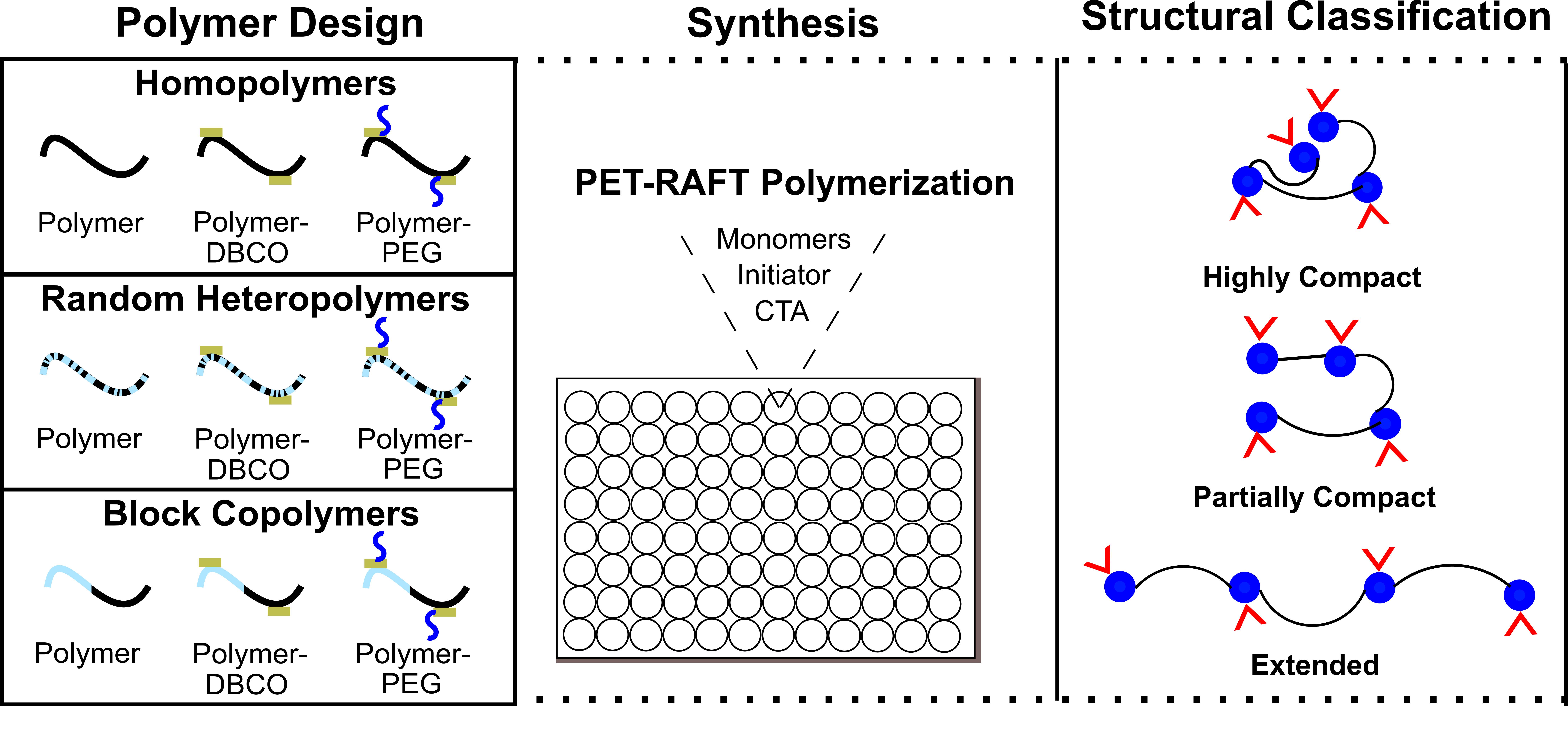 Oxygen tolerant controlled/living radical polymerization in well plates enables the synthesis and characterization of a diverse polymer library with compact, partially compact, and extended structures along with varying degrees of flexibility.