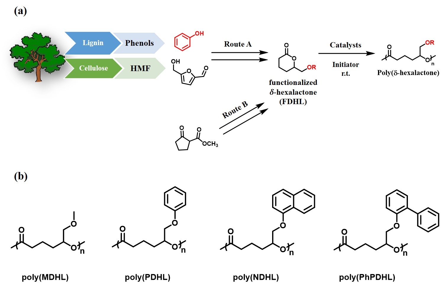 a) Schematic diagram for the synthesis of FDHL monomers and polymerization path to get different polyesters. b) Structures of the synthesized new polyester polymers bearing different bulky pendant groups.