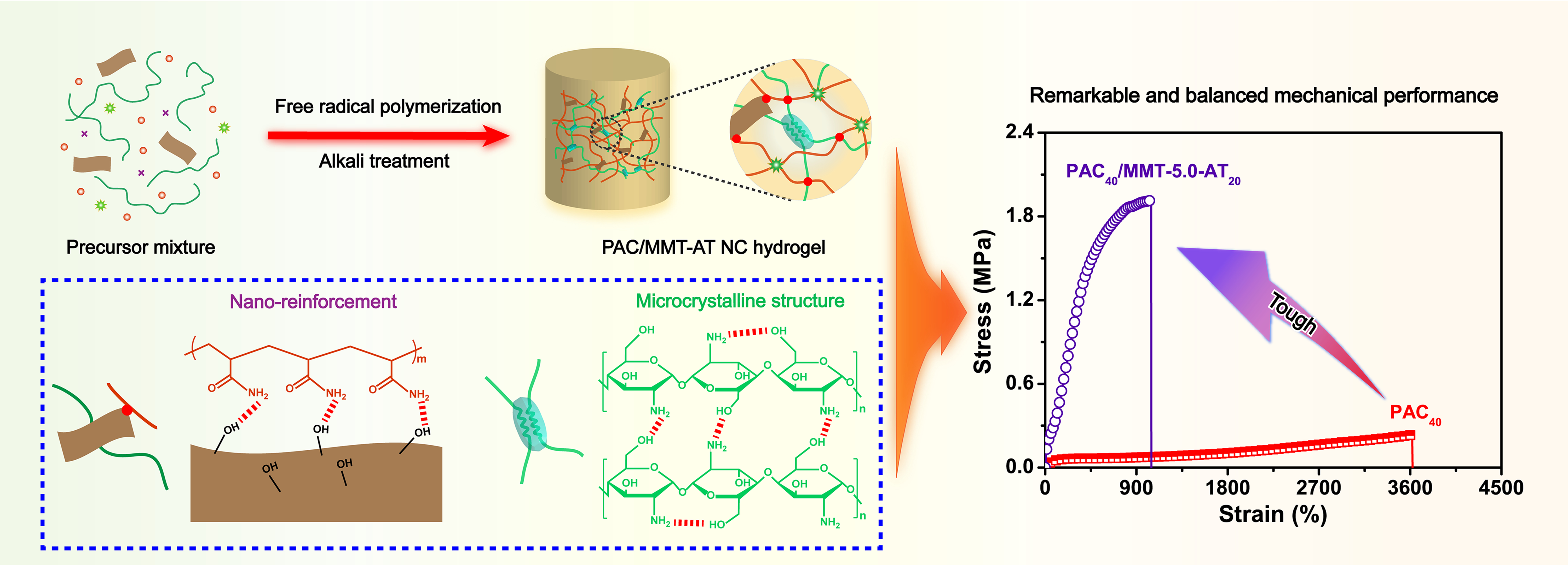 Mechanically robust polyacrylamide composite hydrogel achieved by ...