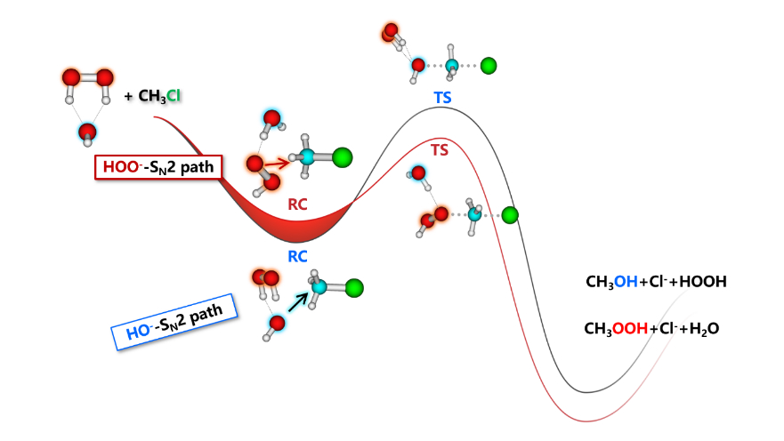 Direct dynamics simulation of microhydrated HOO- ion with CH3Cl ...