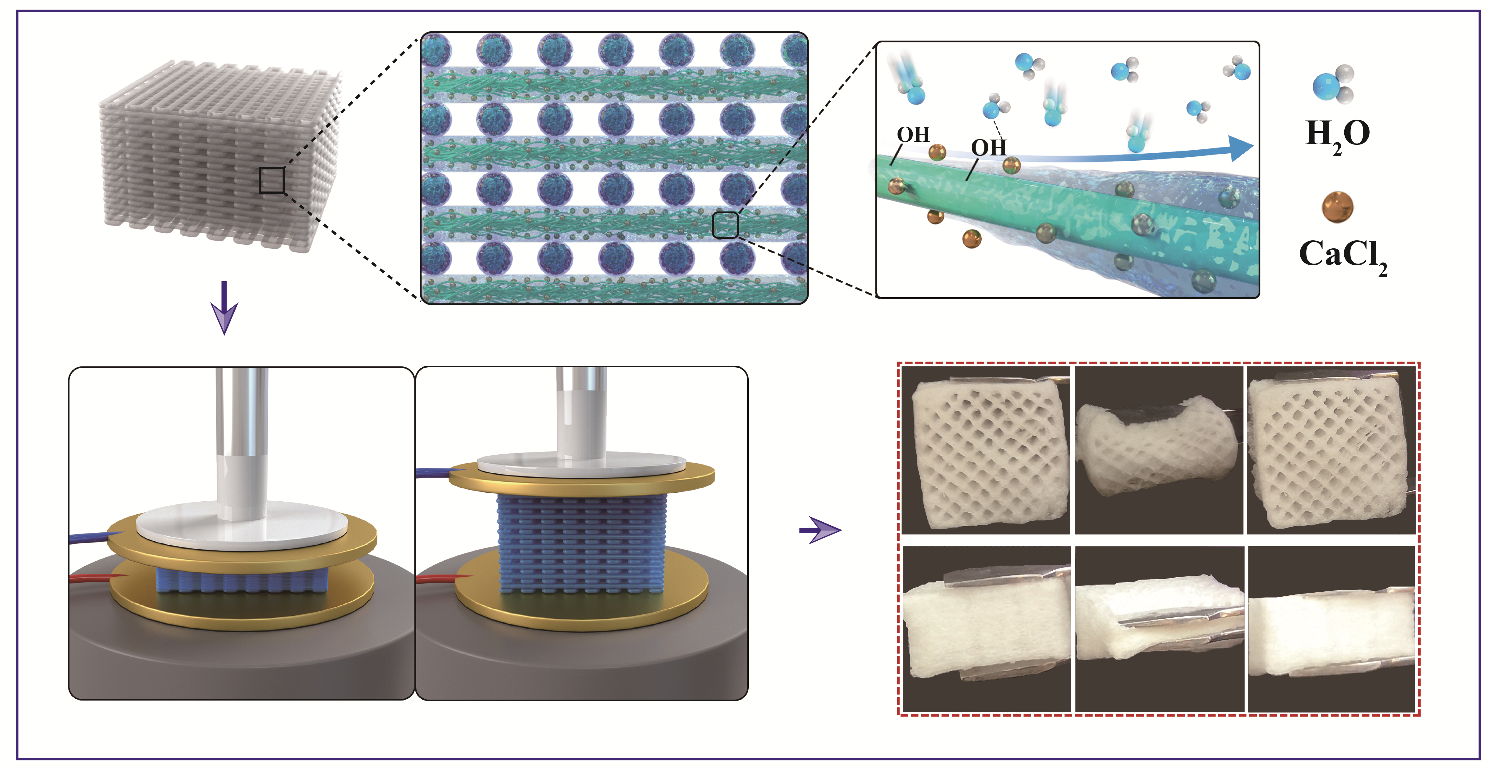 Superelastic, hygroscopic, and ionic conducting cellulose 