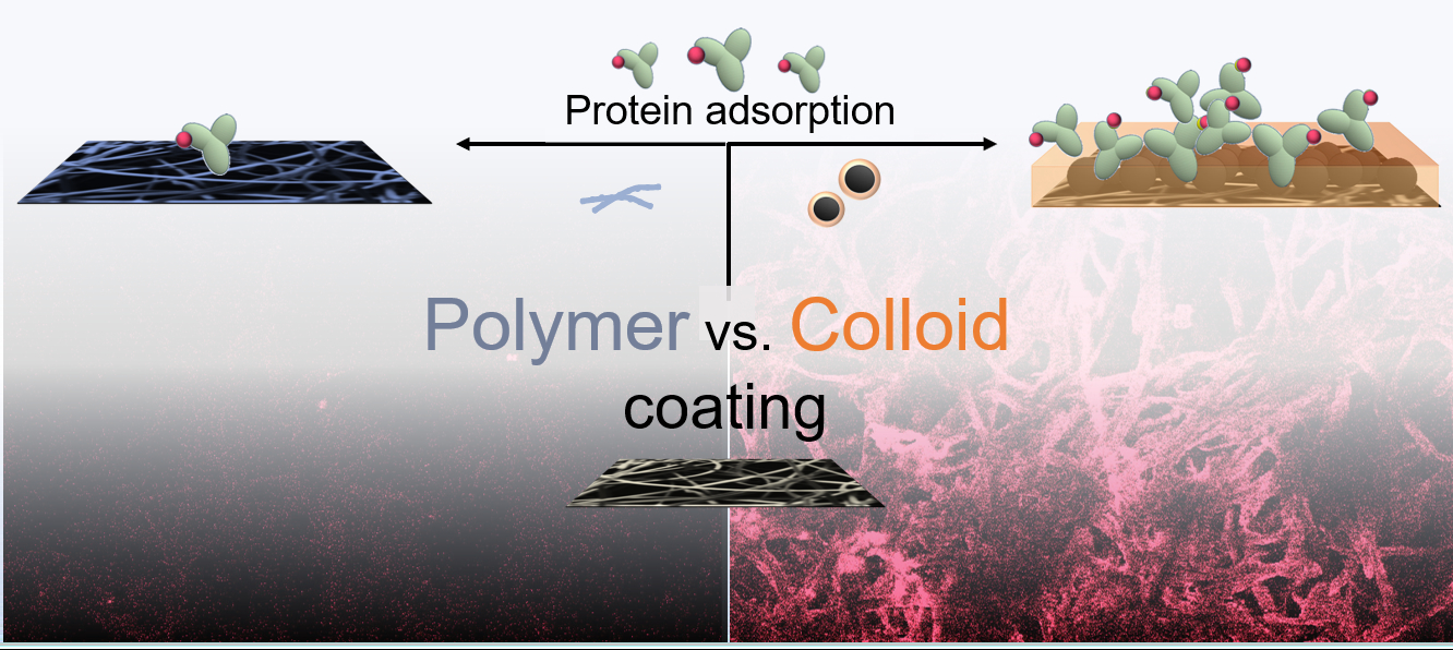Nanocellulose-based colloidal gel layers with enhanced protein ...