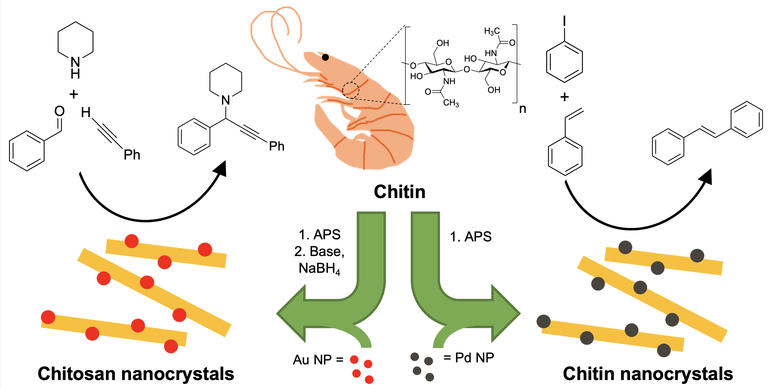 Chitin and chitosan nanocrystals as a biomass-based catalyst support ...