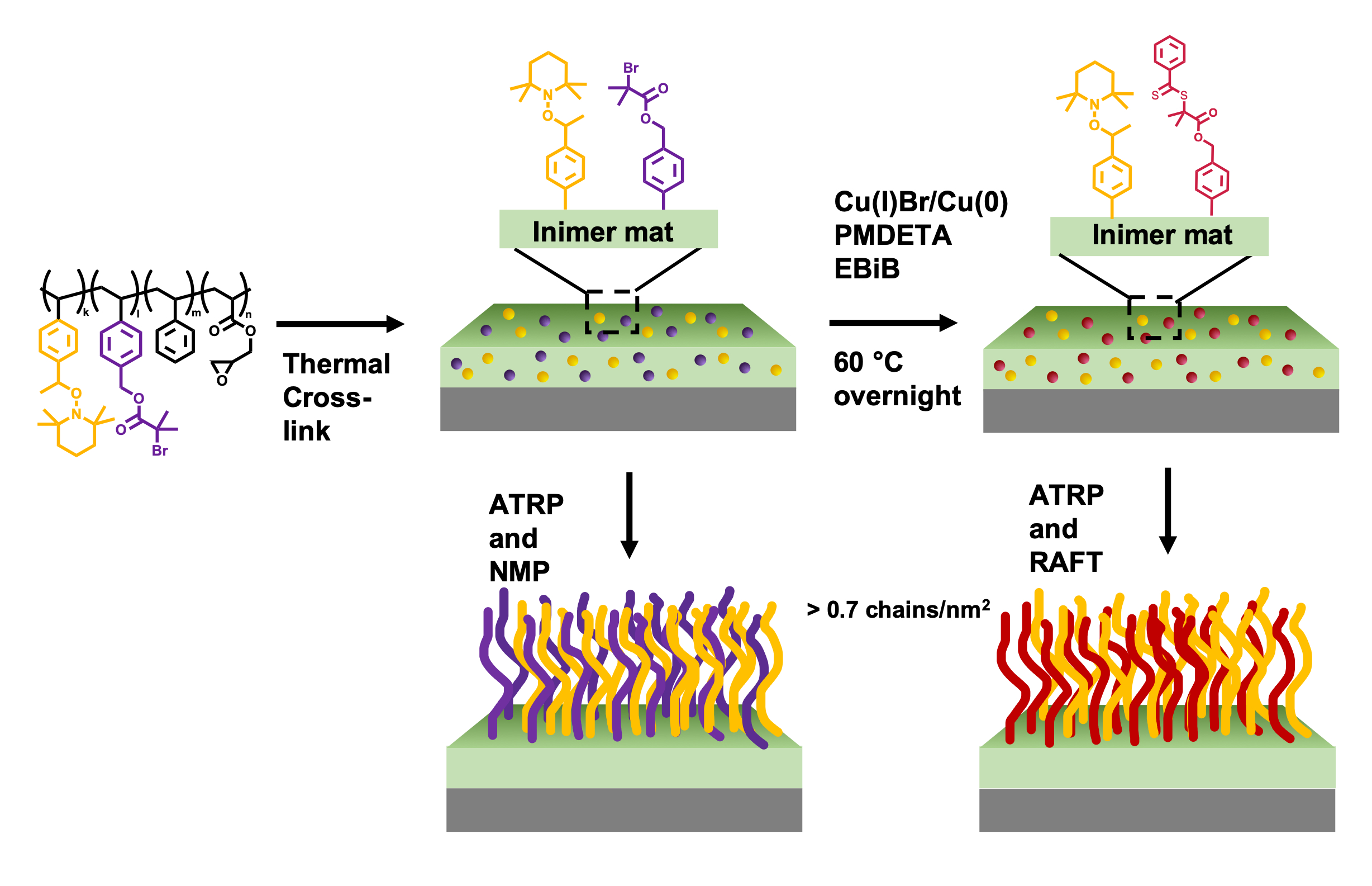 High grafting density polymer brush growth from a switchable inimer ...