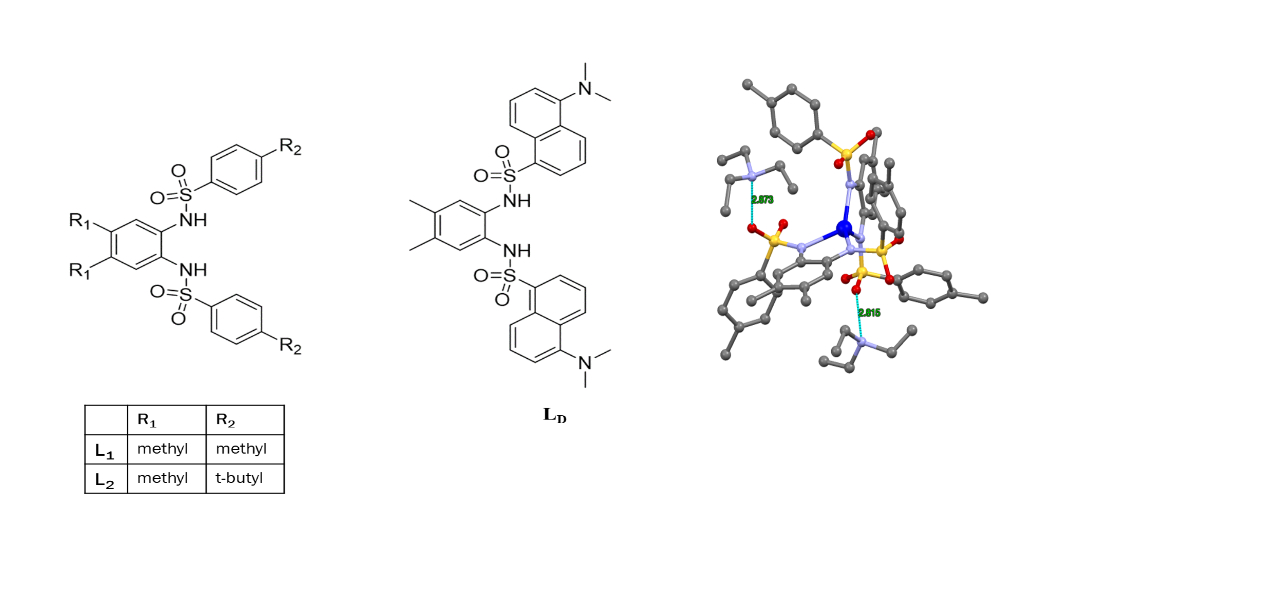 Bis-arylsulfonamide ligands studied (left). X-ray structure of the isolated Hg(II) complex with <b>L<sub>1</sub></b> (right).