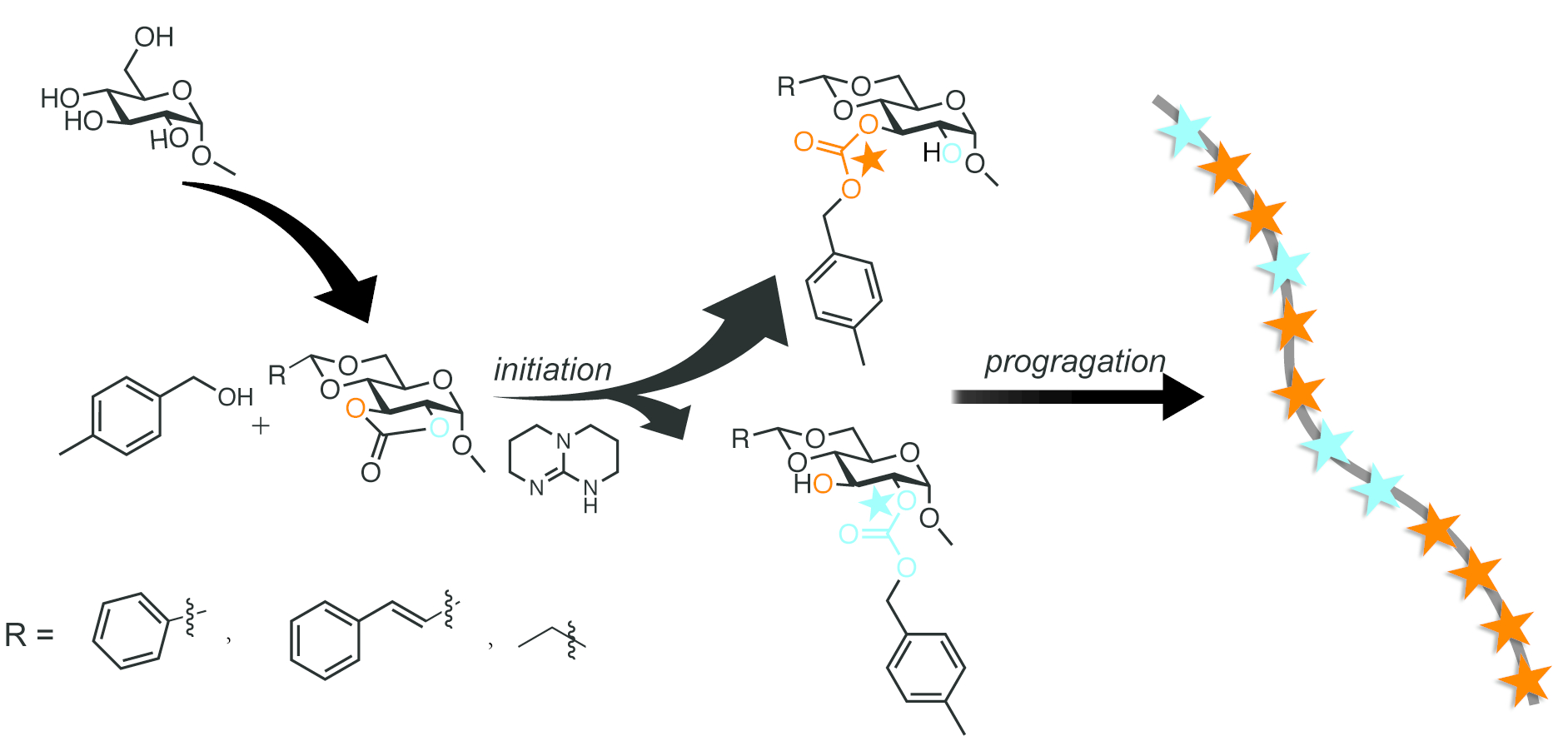 Regioselectivity of organocatalytic ring-opening polymerization in 5 ...