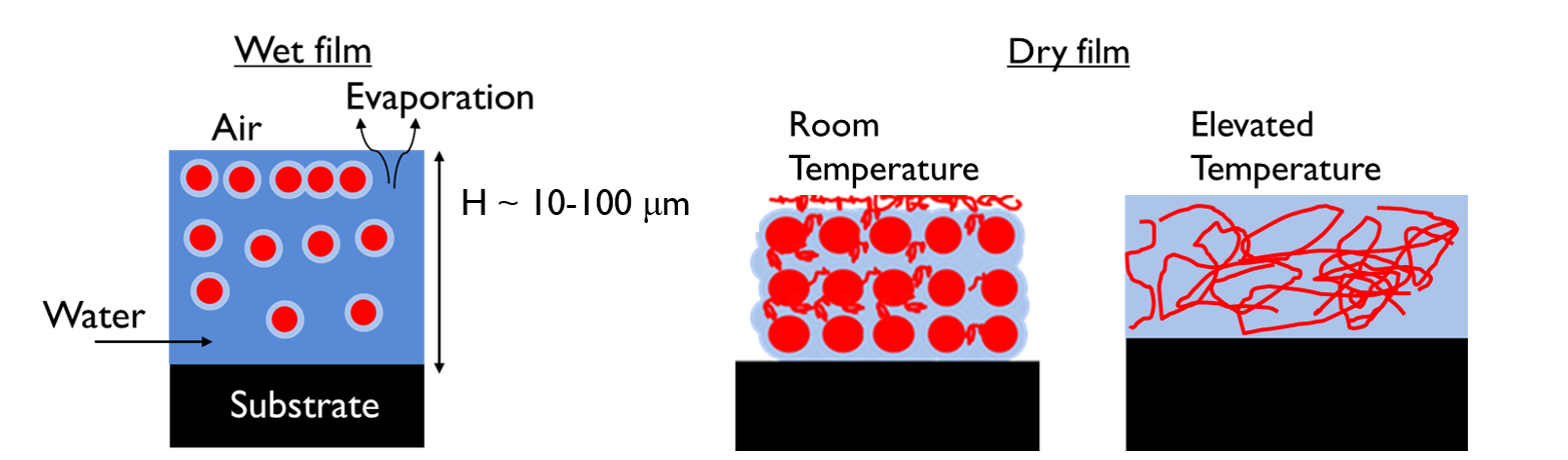 Designing complex polymer colloids for films with enhanced properties ...