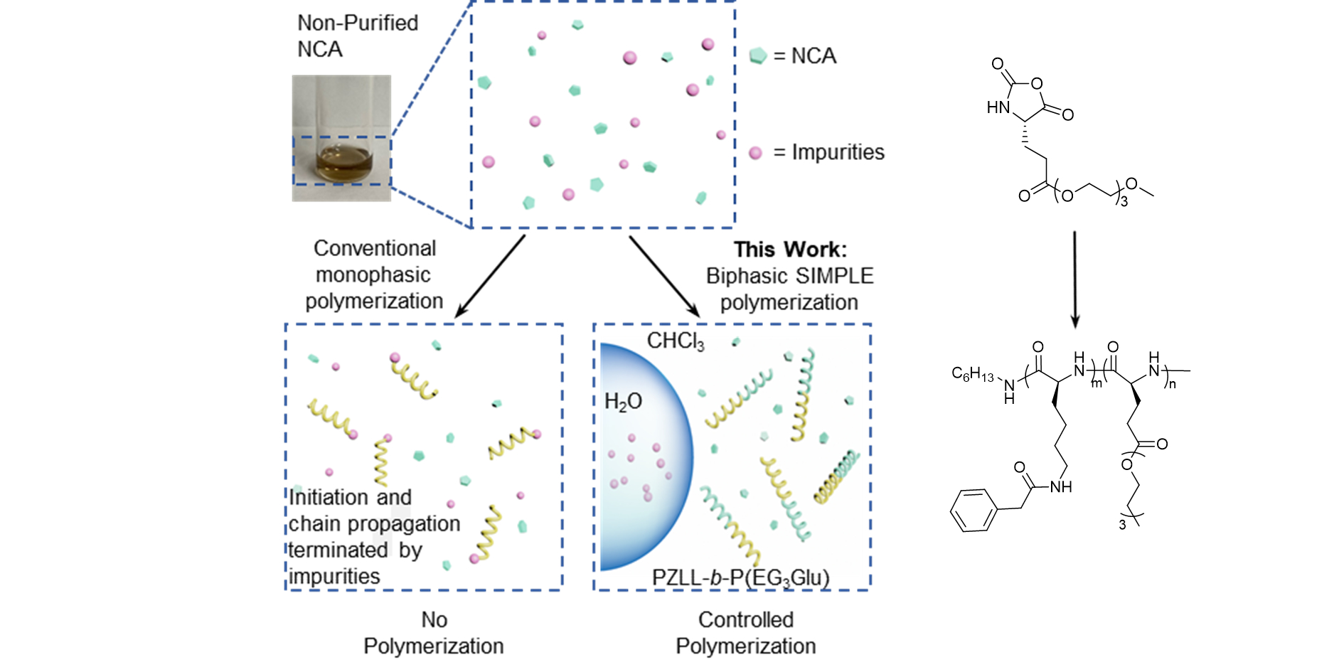 Functionalized Nanomaterial Assembling and Biosynthesis Using the