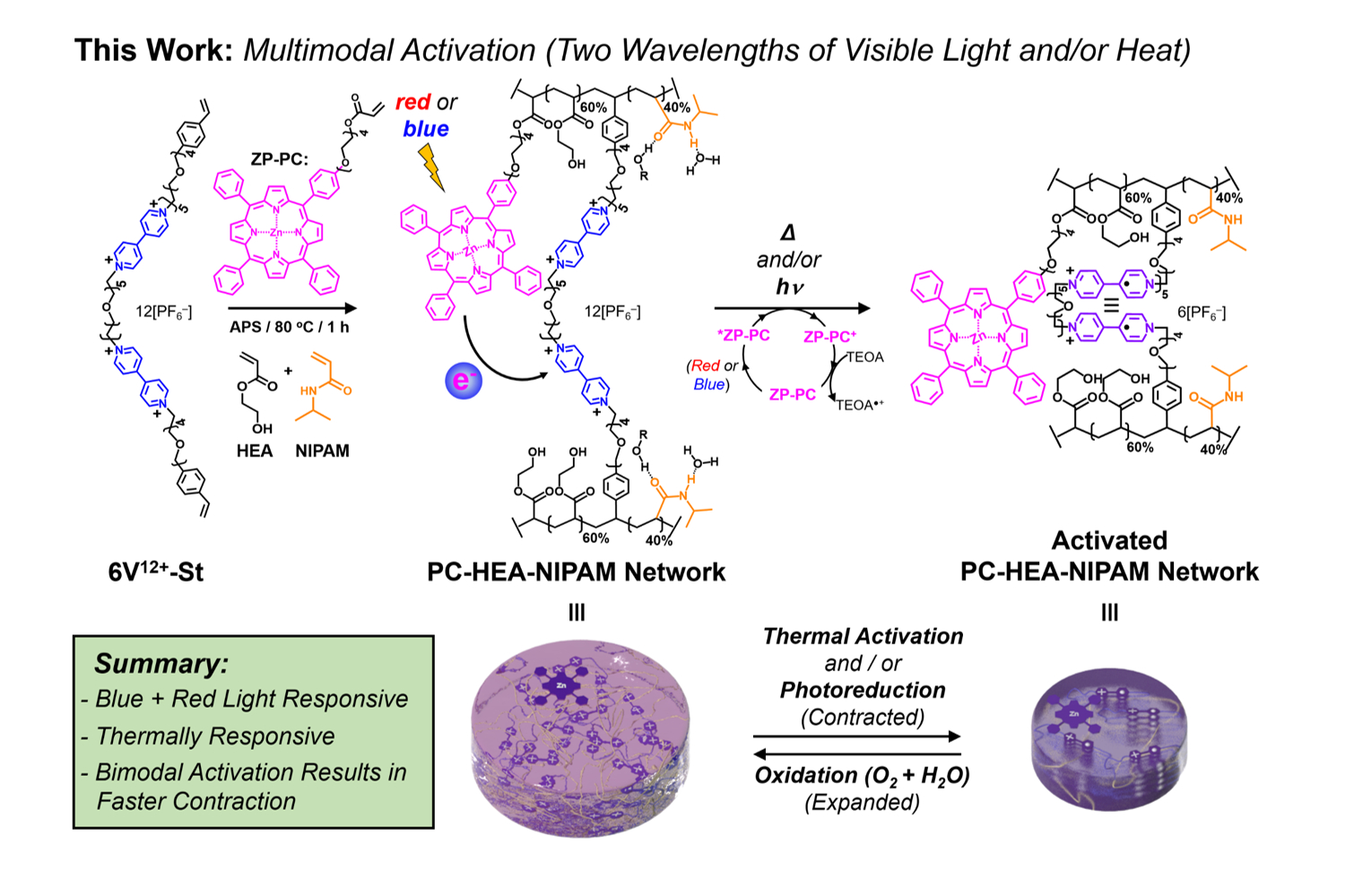Synthesis and application of viologen-based polymers and photoredox ...