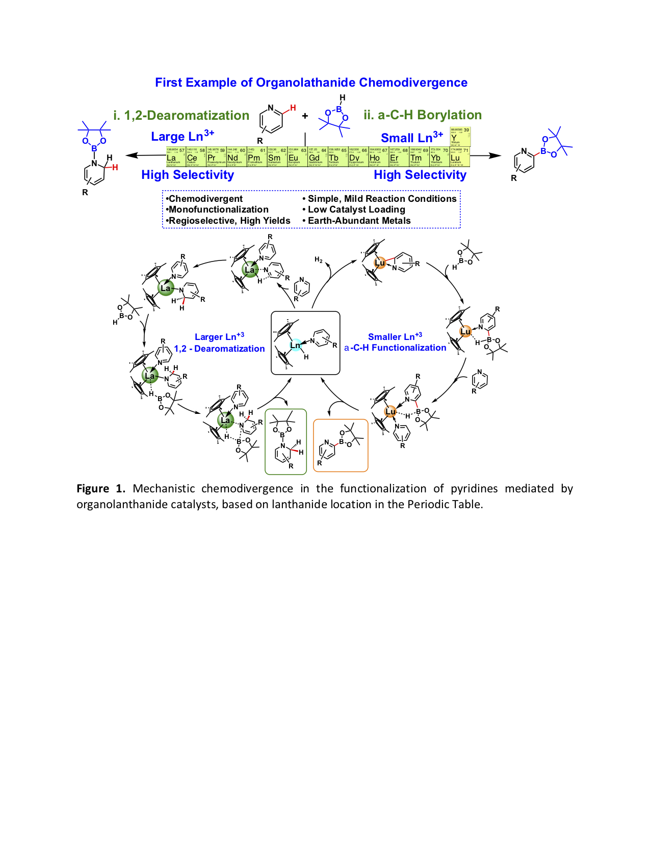 Chemodivergent organolanthanide catalyzed C-H a-mono-borylation of azines -  American Chemical Society