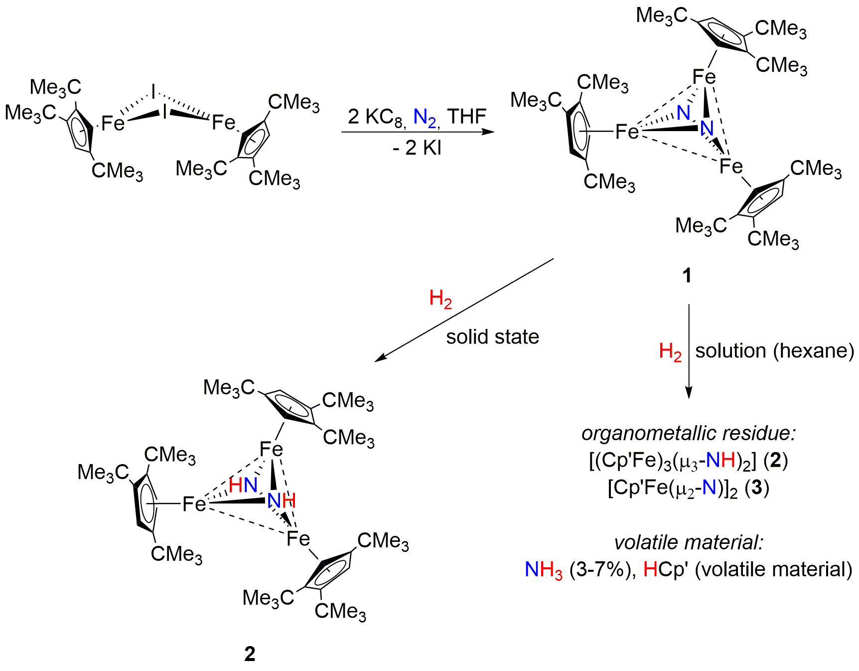 N2 activation mediated by iron half-sandwich complexes, [Cp’FeX]2 ...