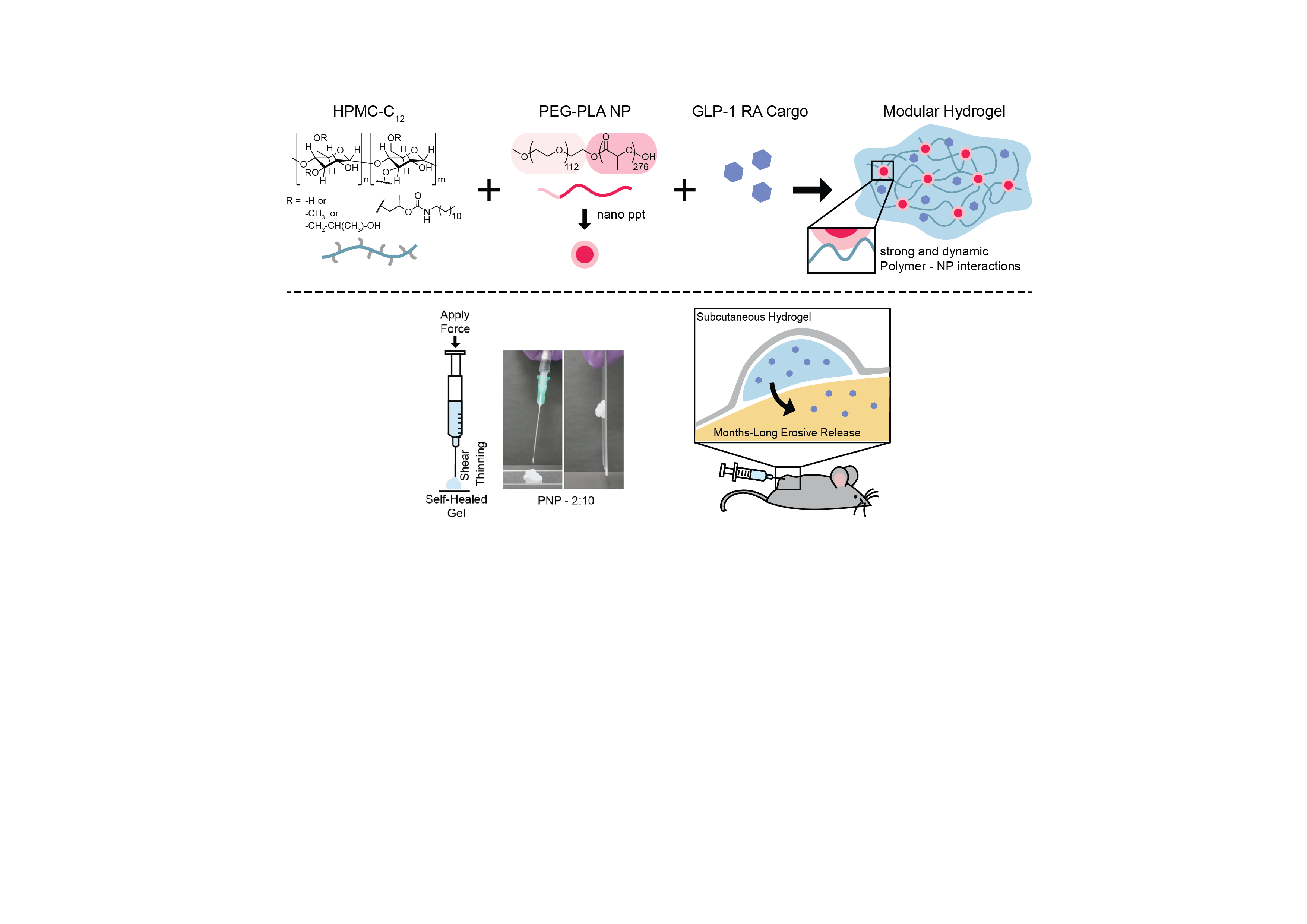 semaglutide hydrogel Long-acting hydrogel-based depot formulations of tirzepatide and for the management of type 2 diabetes and weight GLP-1 drug hydrogels could reduce