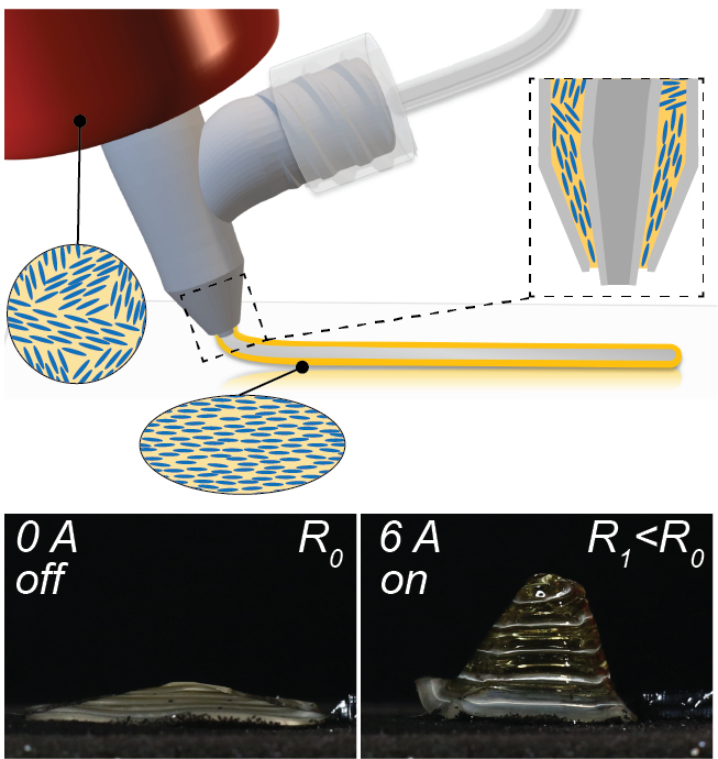 Innervated, Self-sensing Liquid Crystal Elastomer Actuators With Closed ...