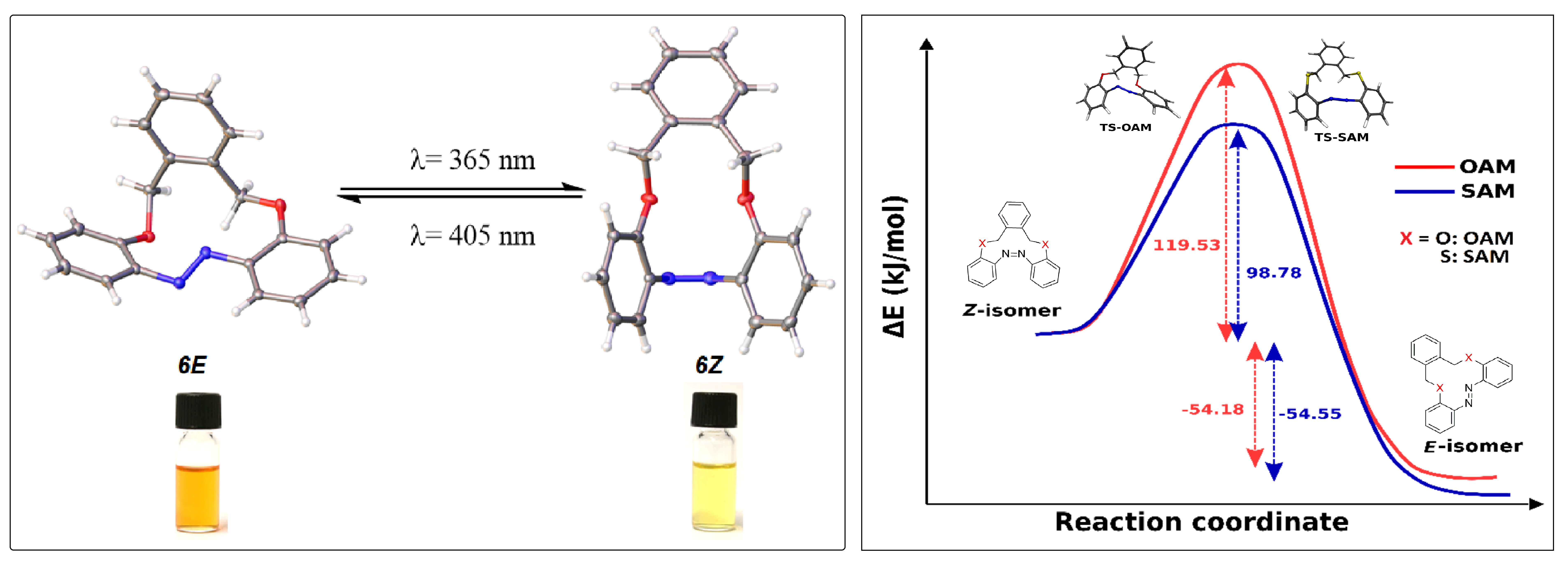 Photoisomerization of oxygen bridge azobenzeene macrocycle (left); Thermal energy barier of oxygen (red line) and sulphur (blue line) bridge azobenzene macrocycles (right)