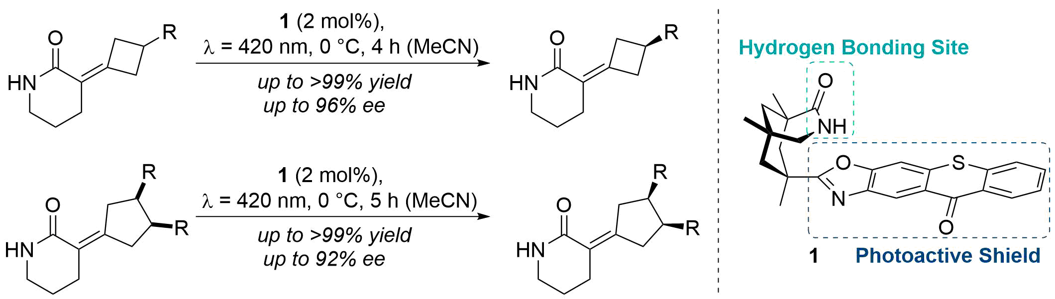 Photochemical deracemization of piperidinones using chiral thioxanthon <b>1</b> as sensitizer.