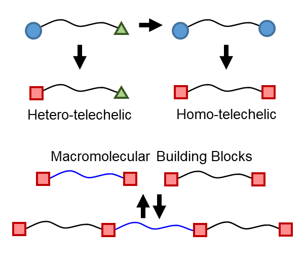 Telechelic Raft Functionalization Telechelic polyolefins: Model materials to improve recycling pathways ...