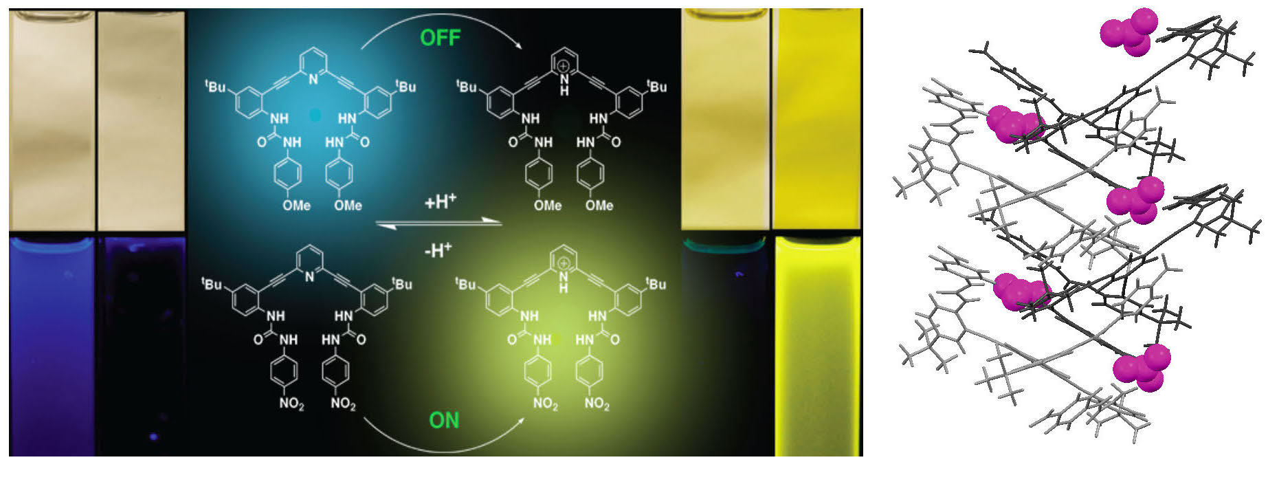 Modular supramolecular fluorescent receptors: Functional materials and ...