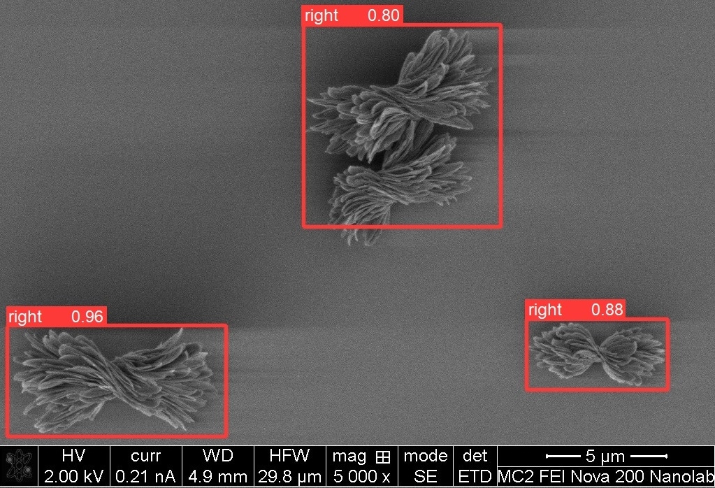Artificial intelligence-based analysis of scanning electron microscopy ...